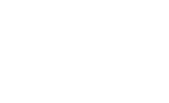 Holz Akustik Brandstetter Logo